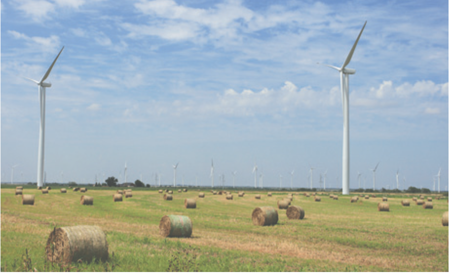 Texas Wind Farm